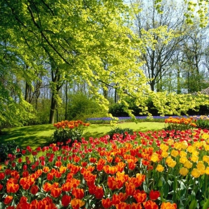 Concert de Printemps